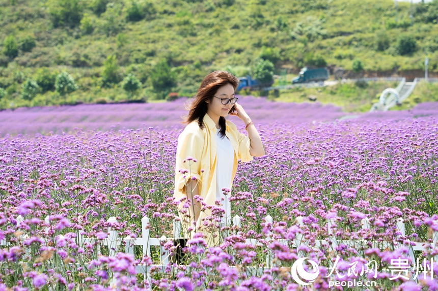 游人站在花田步道內拍照打卡。人民網 陽茜攝