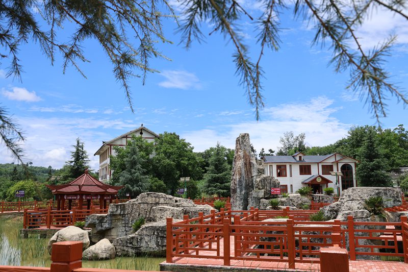 七星關區竹園鄉歹雞村。