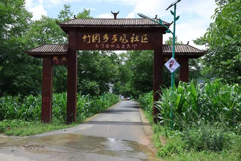 七星關區竹園鄉歹雞村道路干凈整潔。