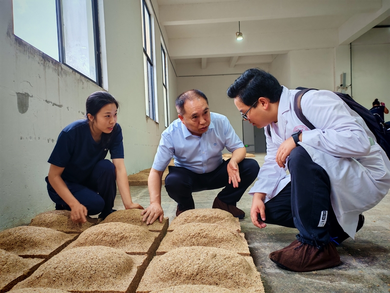 醬科所工作人員到酒企查看制酒。