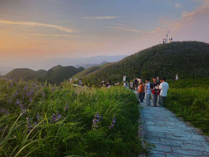 游客蜂擁打卡金沙玉簪花海.jpg