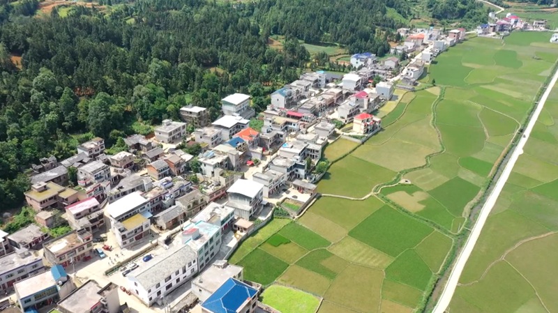 西秀區東屯鄉。