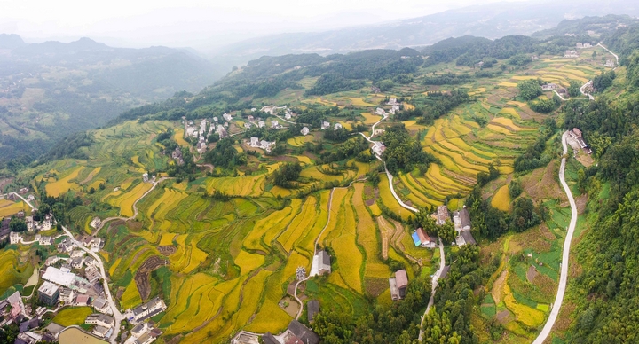 靈仙河梯田。習水縣融媒體中心供圖.jpg