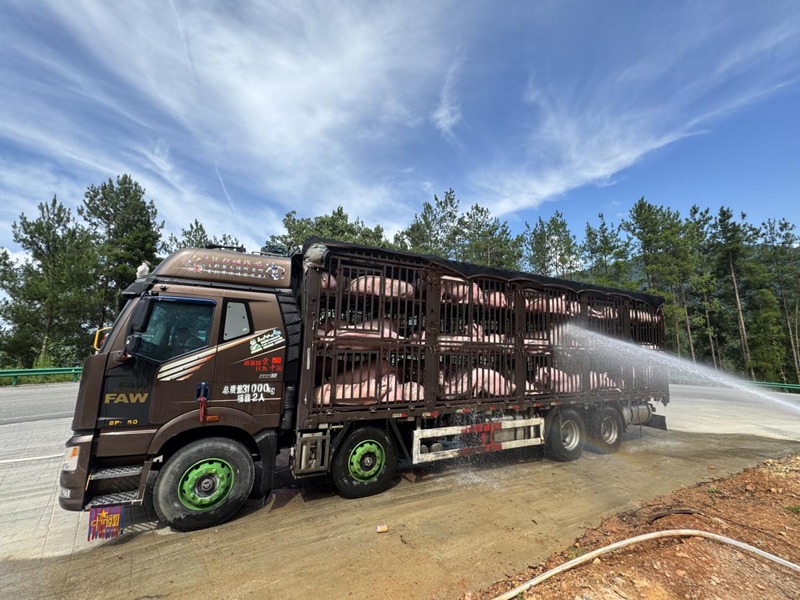 緊急噴淋降溫。