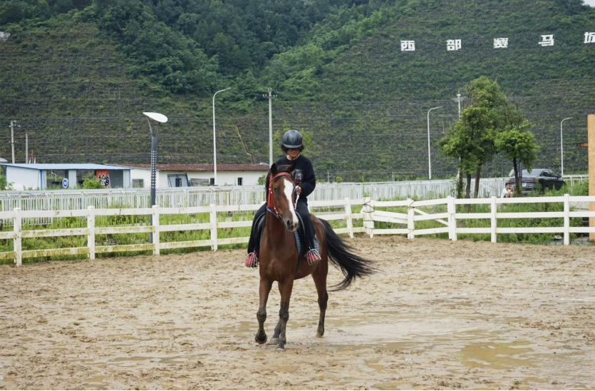 活動現場。