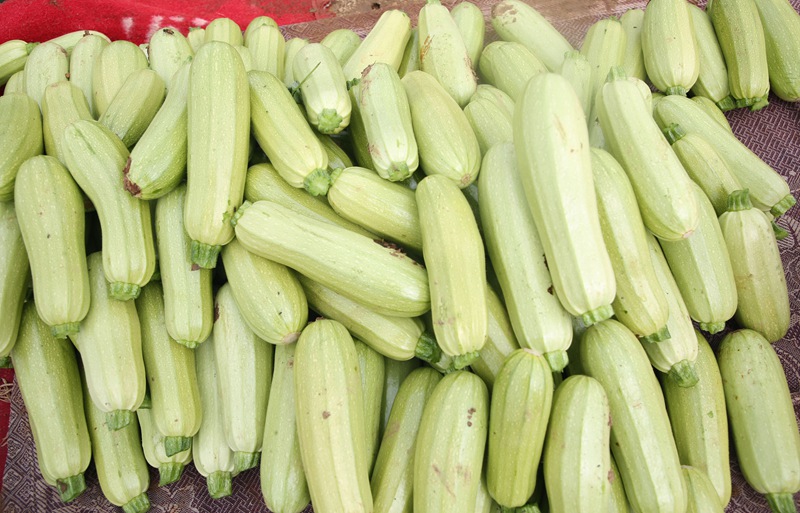 剛采摘的新鮮小瓜。