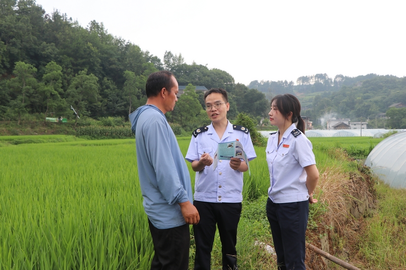 稅務干部在田間地頭向合作社負責人宣講政策。高慧攝