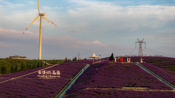 花溪云頂花海。