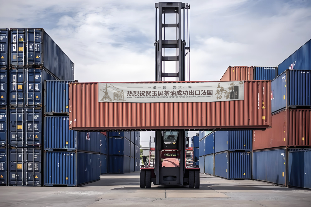 貴州玉屏：粵黔協作助力茶油“進軍”國際市場。