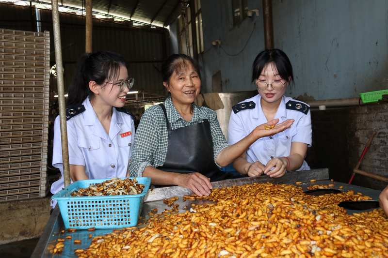 稅務干部到貴州絲路興蠶紡織有限公司走訪調研，查看企業生產經營情況。 鄧萍攝