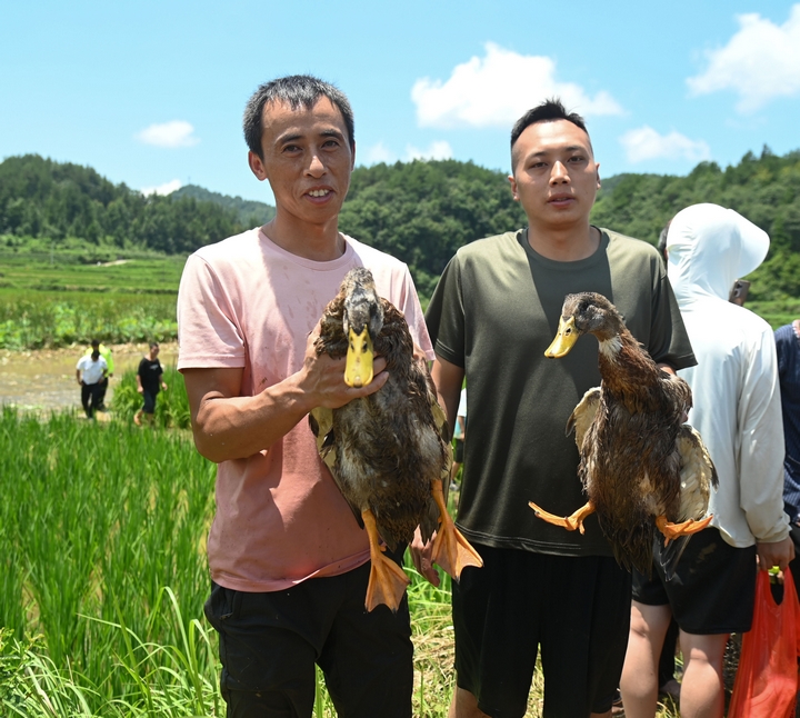 7月30日，在松桃苗族自治縣長興堡鎮“六月六”活動中，游客在展示搶到的鴨子。