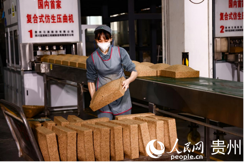車間內工人正忙著制曲。人民網記者 涂敏攝
