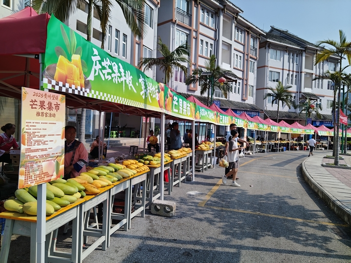芒果飄香.jpg