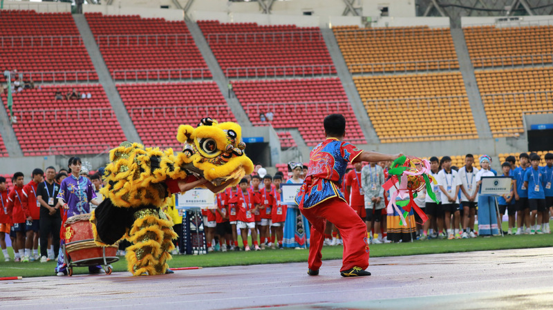 開幕式上精彩紛呈的舞獅表演。