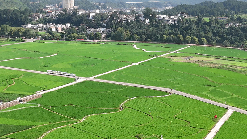 田園風光美如畫。