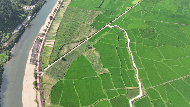 田園風光美如畫。