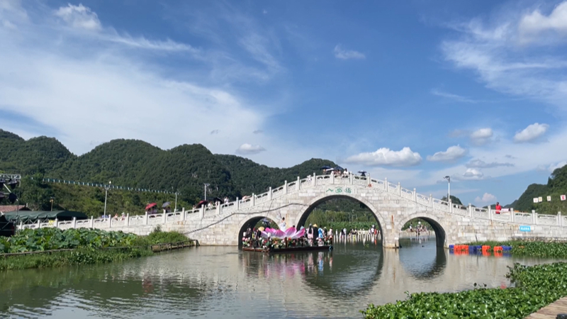 十里荷廊非你莫“暑”田園畫卷“荷”你相約。