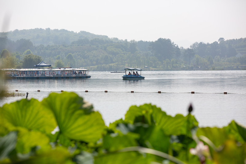夏日七星關區金海湖濕地公園內，草木蔥蘢，碧水如鏡，景美如畫。
