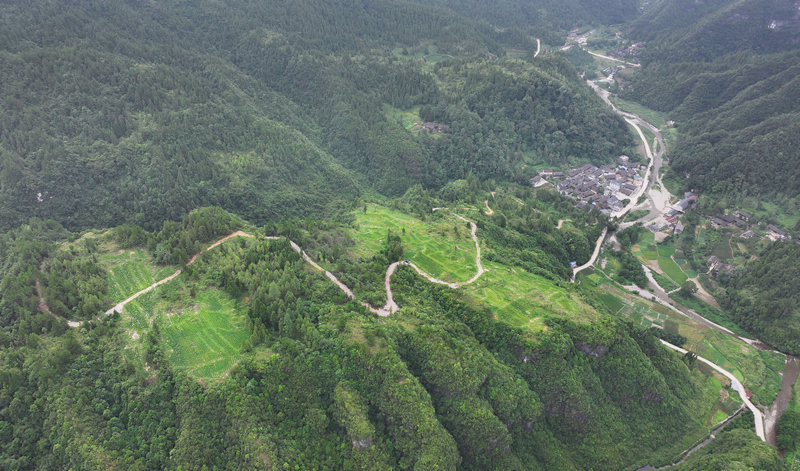松桃苗族自治縣冷水溪鎮桐子坪村辣椒種植基地。