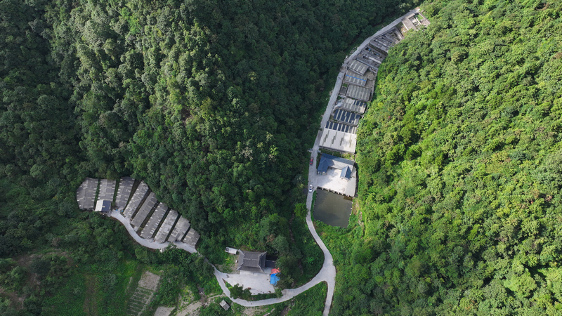 松桃苗族自治縣冷水溪鎮陶家溝村石蛙養殖基地。