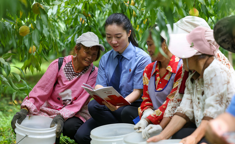 2025年8月7日，在貴州省銅仁市玉屏侗族自治縣新店鎮新店村黃桃種植基地，檢察干警向村民宣傳民法典、防范電信詐騙等相關法律知識。