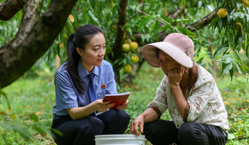 2025年8月7日，在貴州省銅仁市玉屏侗族自治縣新店鎮新店村黃桃種植基地，檢察干警向村民宣傳民法典、防范電信詐騙等相關法律知識。