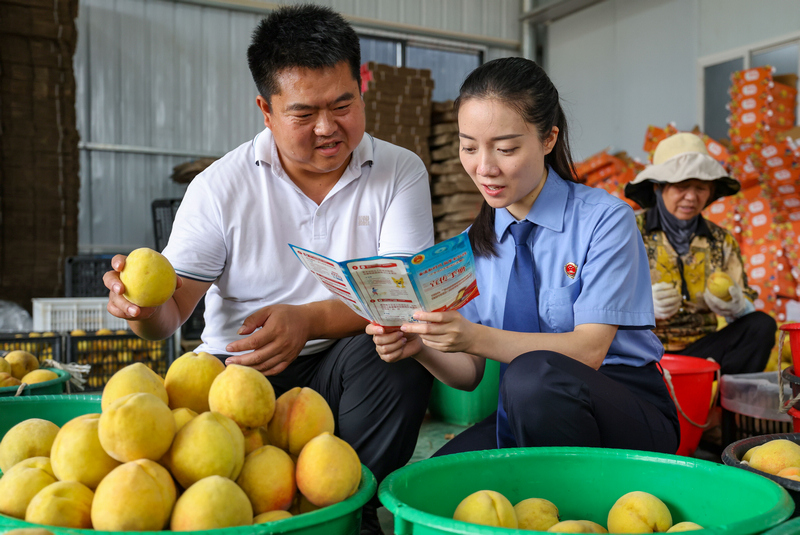 2025年8月7日，在貴州省銅仁市玉屏侗族自治縣新店鎮新店村黃桃種植基地，檢察干警向村民宣傳民法典、防范電信詐騙等相關法律知識。