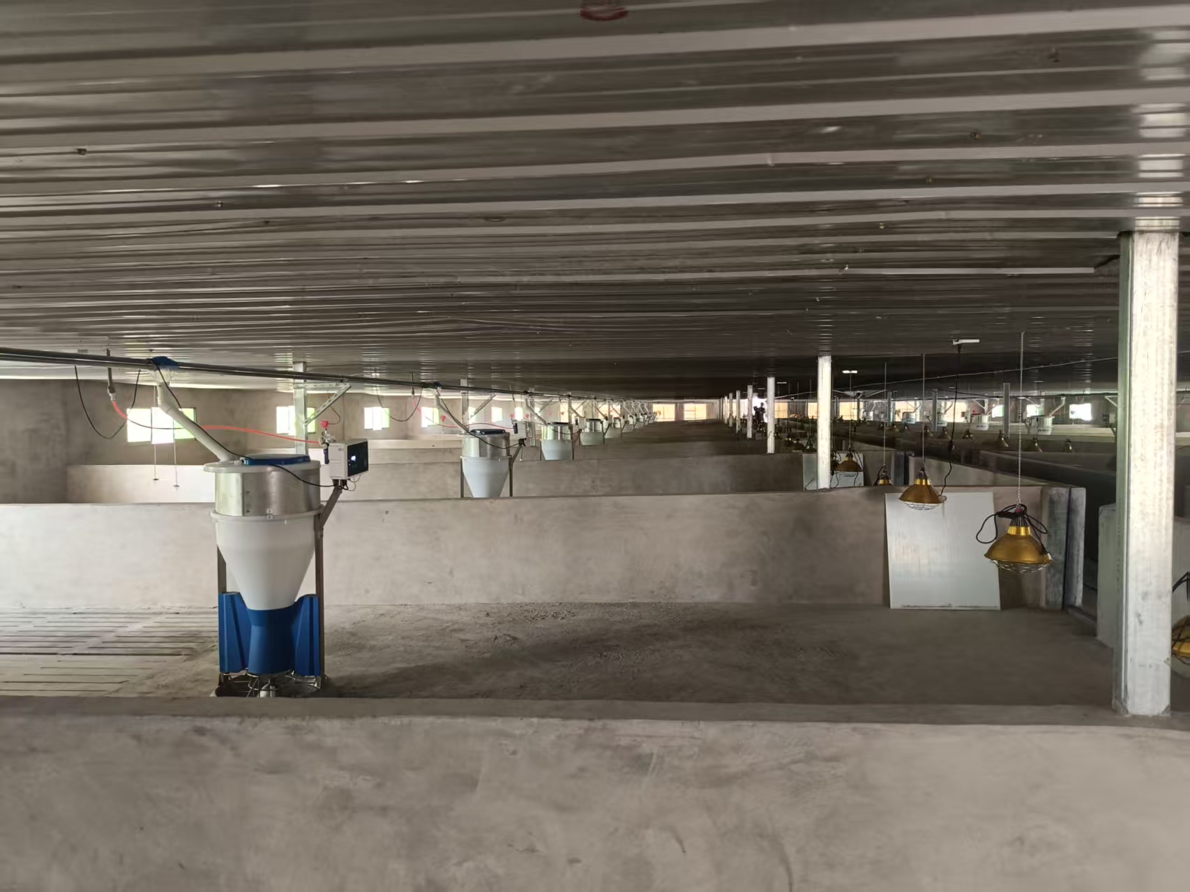 配備自動投料系統、自動控溫系統、自動清糞系統及智能監控系統的標準化圈舍。