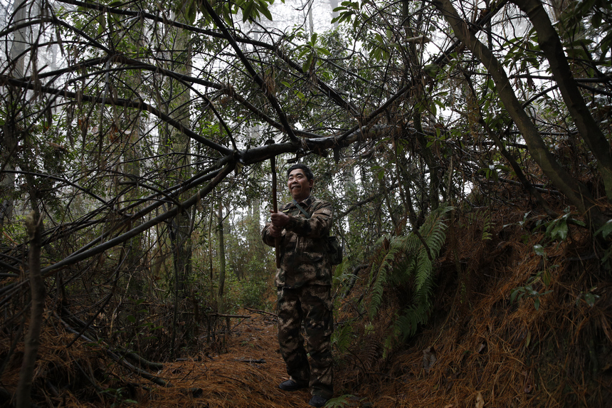 翟思平正在林區巡林。文杰攝