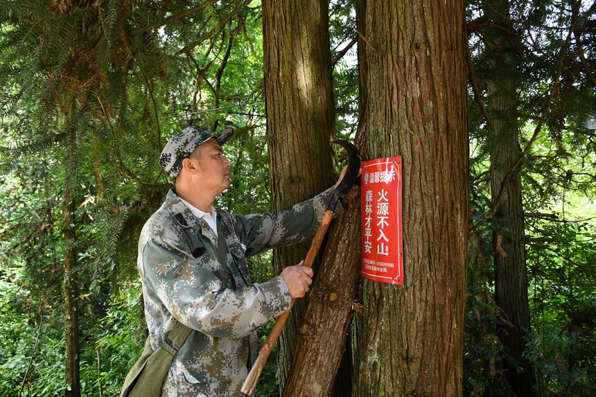 姚克禮在巡林。