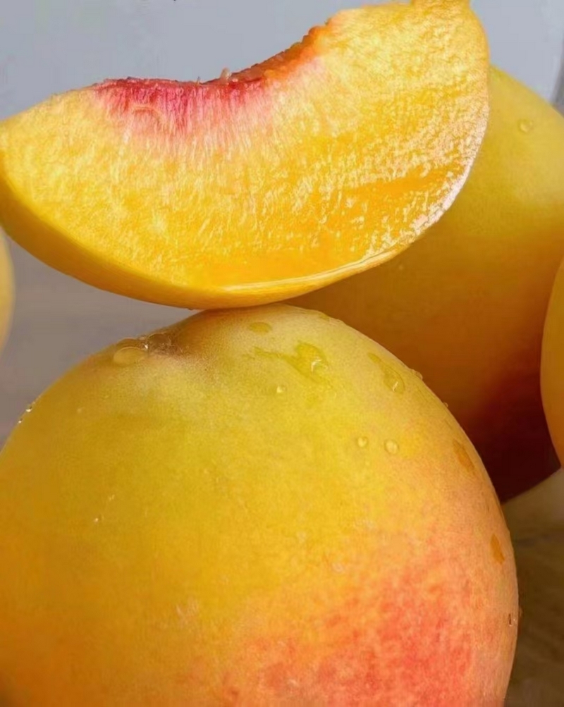 色澤誘人的黃桃。金莎  攝.jpg