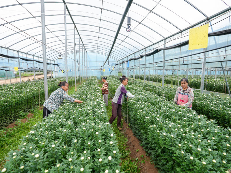 帶動了當地群眾就業。