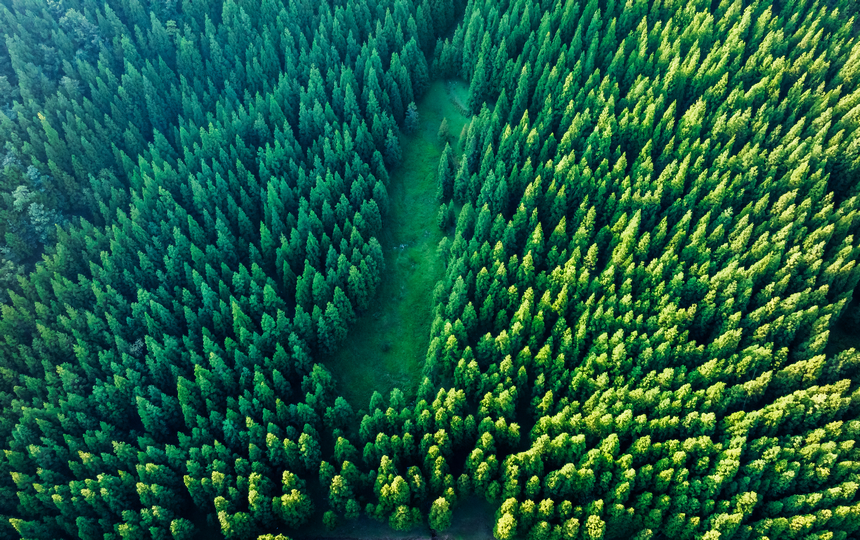 《清新雨奪箐》。肖本祥攝