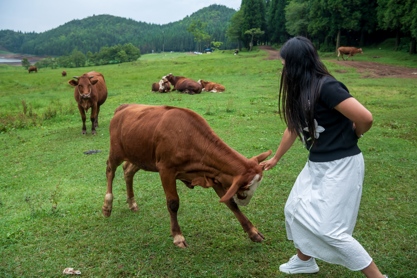 《清新雨奪箐》。肖本祥攝