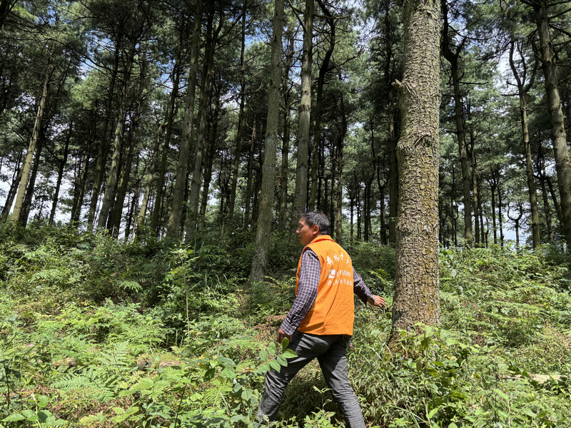 護林員李書國正在巡山護林。