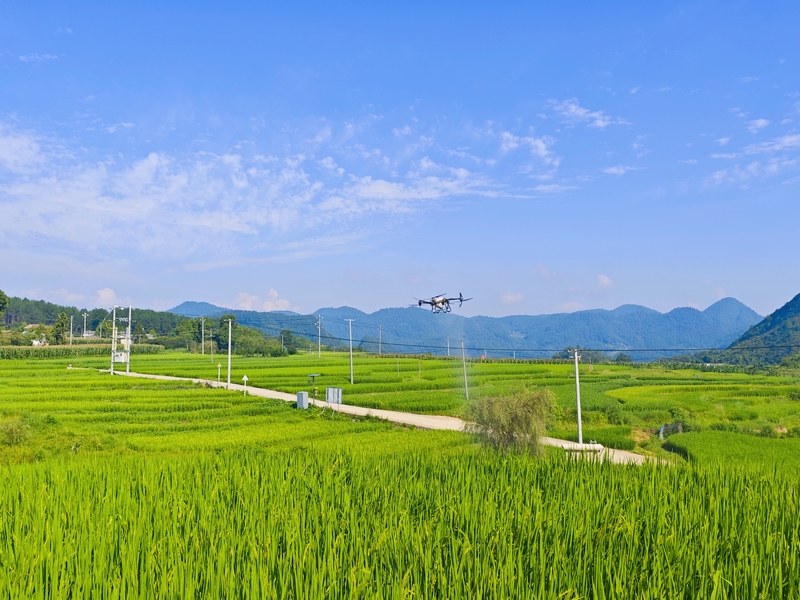 無人機正在噴施肥料和生物制劑.jpg