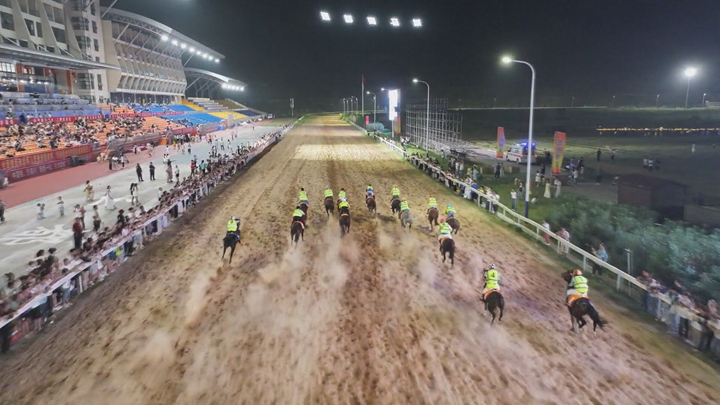 精彩刺激的跑馬比賽。