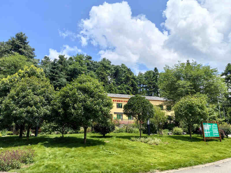 “貴州森林·壹號眠宿”一角。李云攝