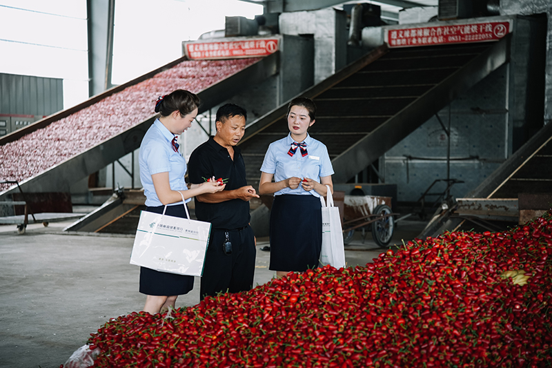 郵儲銀行工作人員在了解辣椒產品。