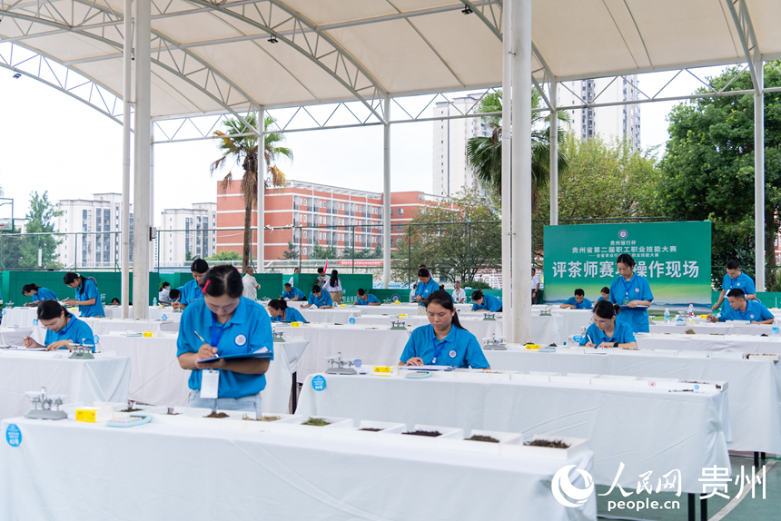 評茶師比賽現場。人民網記者 涂敏攝