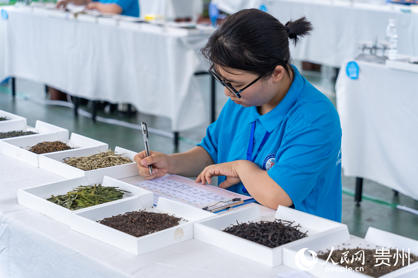 評茶師比賽現場。人民網記者 涂敏攝