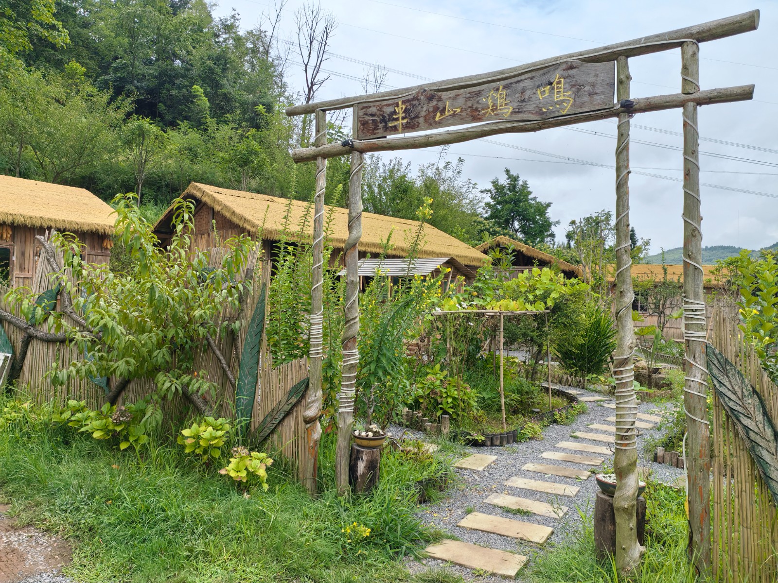 家庭農場——“半山雞鳴”  。