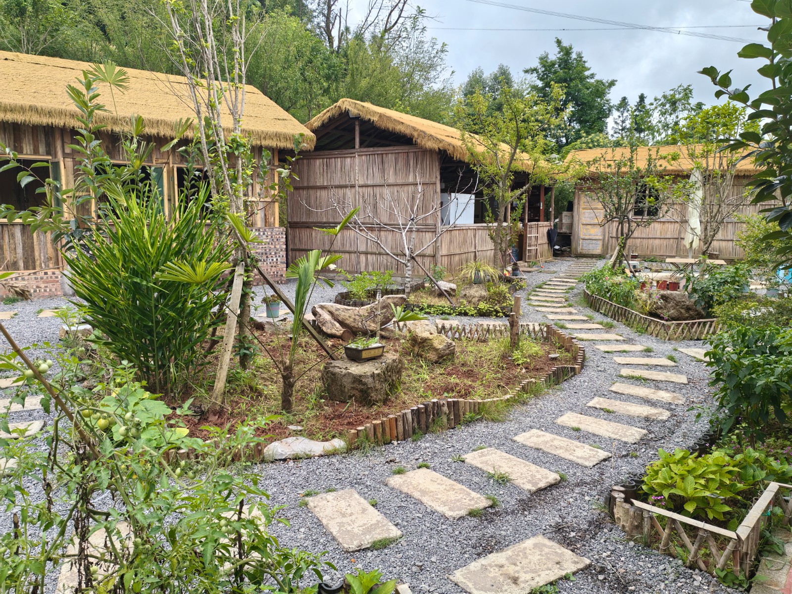 家庭農場——“半山雞鳴”內部。