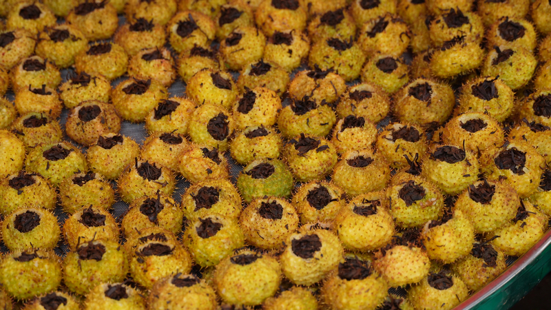 填入紅茶的刺梨鮮果。