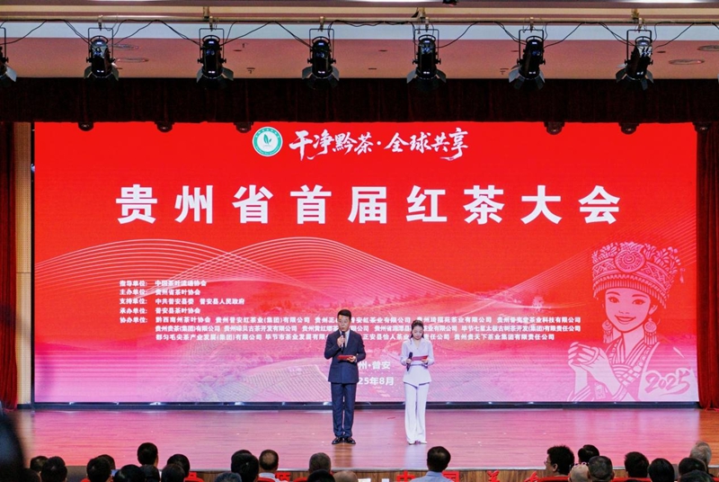 活動現場。主辦方供圖