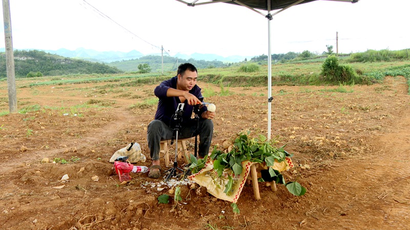 村民正在直播售賣地蘿卜。.jpg