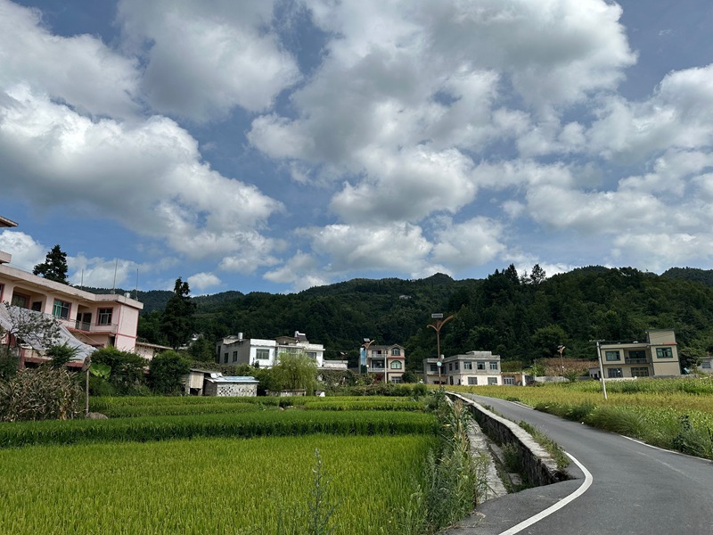 平壩鎮雙興社區。彭垚攝