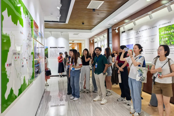 參觀體驗抹茶文化。