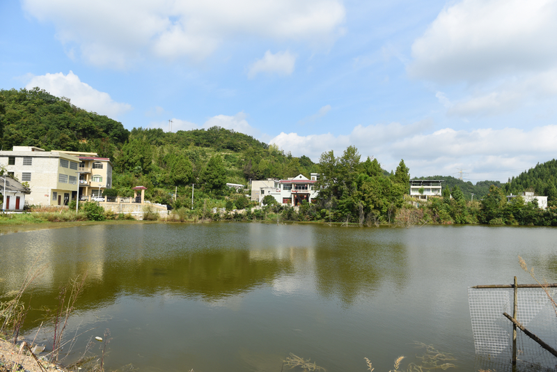 2025年9月4日，貴州省黔西市甘棠鎮大錫社區林角塘修復道路旁的垂釣池塘。張晶攝