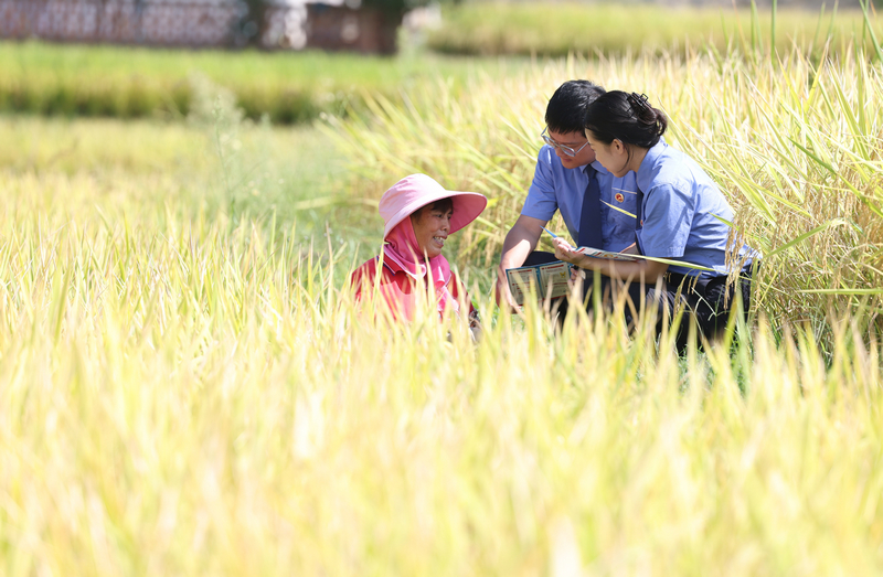 2025年9月4日，檢察干警在貴州省銅仁市玉屏侗族自治縣亞魚鄉郭家灣村向農戶宣傳防范電詐、民法典等法律知識。